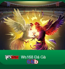66b